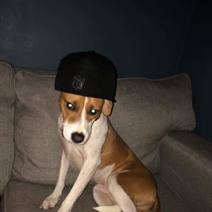 Meet your Posher, Christopher